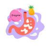 ENZYME